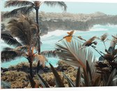 WallClassics - Panneau en mousse PVC - Grands Palmiers avec Plantes au bord de l' Water - Photo 100x75 cm sur panneau en mousse PVC (avec système d'accrochage)