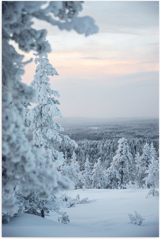 WallClassics - Poster brillant – Vue sur un paysage de neige Wit – 80 x 120 cm Photo sur papier poster avec finition brillante