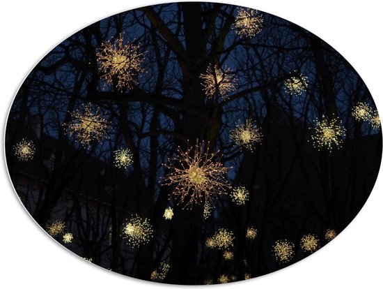 WallClassics - Plaque Ovale en Mousse PVC - Sparkles of Light through Tree in the Night - 108x81 cm Photo sur Ovale (Avec Système de Suspension)
