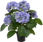 Hortensia kunstplant 40cm blauw in pot