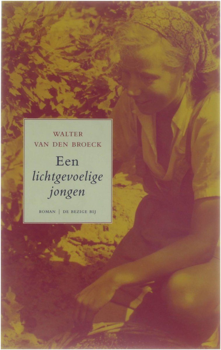 Een lichtgevoelige jongen - Walter van den Broeck