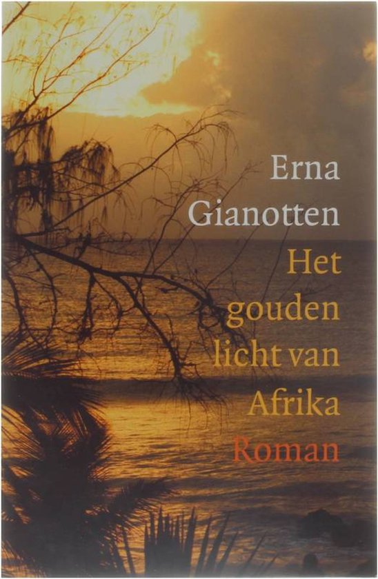 Boekomslag 'Het gouden licht van Afrika' met een zonsondergang boven de oceaan, silhouetten van palmen en takken.