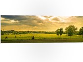 PVC Schuimplaat- Groene Platteland - 90x30 cm Foto op PVC Schuimplaat
