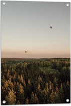 Tuinposter – Luchtballonnen boven de Bossen - 50x75 cm Foto op Tuinposter (wanddecoratie voor buiten en binnen)