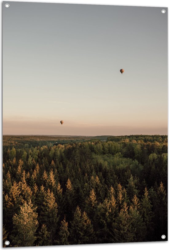 Tuinposter – Luchtballonnen boven de Bossen - 80x120 cm Foto op Tuinposter (wanddecoratie voor buiten en binnen)