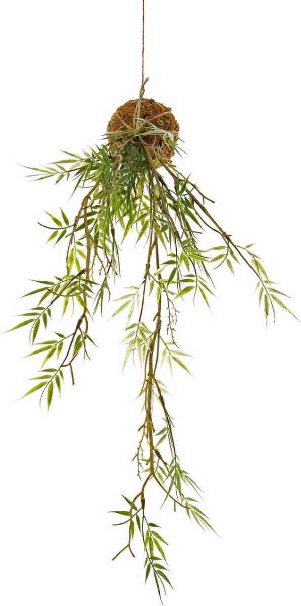 Kokodama - Kunstplant - Hangplant - Bamboe - Bamboehanger 'Green Wave' op Mosbol hoogte 60cm