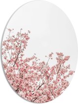 PVC Schuimplaat Ovaal - Roze Sakura - 30x40 cm Foto op Ovaal (Met Ophangsysteem)
