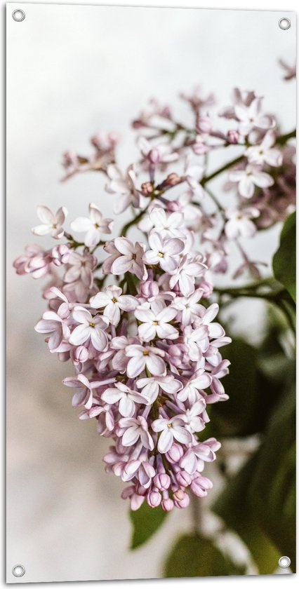 Tuinposter – Kleine Roze met Witte Bloemen - 50x100 cm Foto op Tuinposter (wanddecoratie voor buiten en binnen)