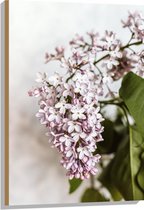 Hout - Kleine Roze met Witte Bloemen - 60x90 cm - 9 mm dik - Foto op Hout (Met Ophangsysteem)