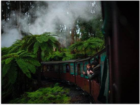 WallClassics - Poster (Mat) - Stoom Trein door de Jungle - 100x75 cm Foto op Posterpapier met een Matte look