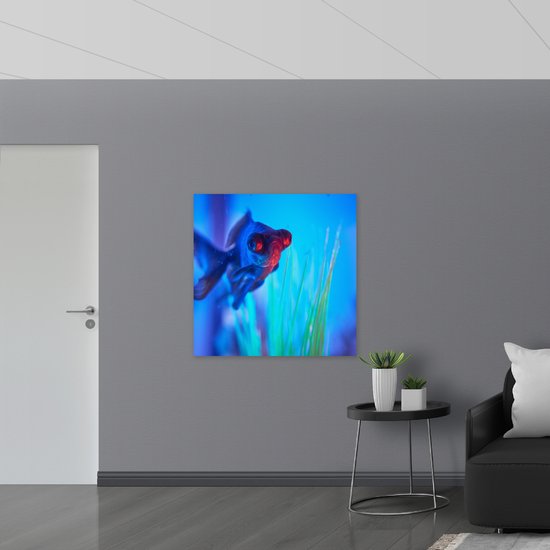 WallClassics - Affiche brillante – Poissons nageant dans l' Water – Photo 100 x 100 cm sur papier poster brillant