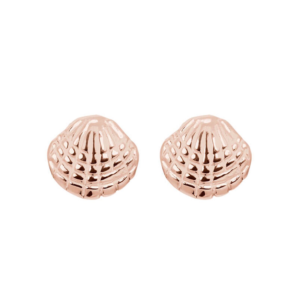 iXXXi Oorbellen Shell Rosé