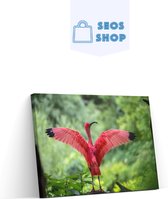SEOS Shop ® Diamond Painting Volwassenen - Diamond Painting Kinderen - Diamond Painting Pakket Volledig - Flamingo - 45x30 cm
