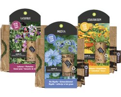 Baza Bloemen hangtuinset - Hangplant - Bloemzaden - Duurzaam