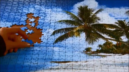 Ravensburger Puzzle 3000 Pièces - Vie sous Marine | bol.com
