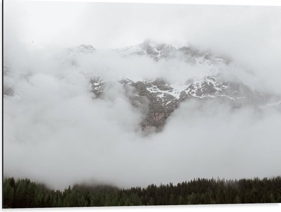 Dibond - Bos aan de Rand van Hoge Bergen in de Mist - 80x60 cm Foto op Aluminium (Met Ophangsysteem)