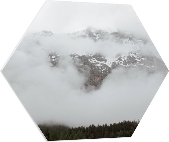 PVC Schuimplaat Hexagon - Bos aan de Rand van Hoge Bergen in de Mist - 70x60.9 cm Foto op Hexagon (Met Ophangsysteem)