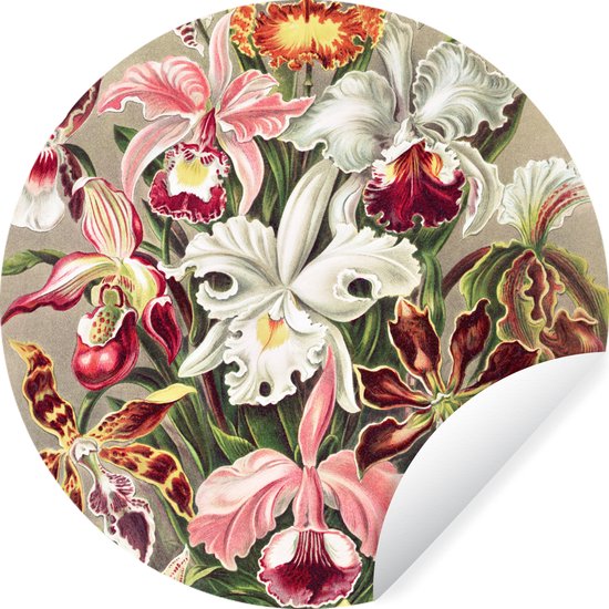 WallCircle - Stickers muraux - Cercle Papier Peint - Fleurs - Ernst Haeckel - Vintage - Orchidée - 120x120 cm - Cercle Mural - Auto Adhésif - Sticker Papier Peint Rond XXL
