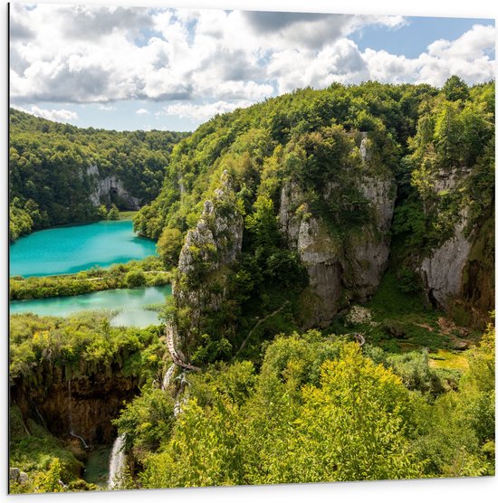 Dibond - Blauwe Wateren bij Planten in het Nationale Park Plitvicemeren, Kroatië - 100x100 cm Foto op Aluminium (Wanddecoratie van metaal)