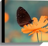 WallClassics - Canvas - Bruine Vlinder op Feloranje Bloem - 30x30 cm Foto op Canvas Schilderij (Wanddecoratie op Canvas)