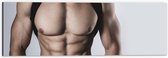 Dibond - Bodybuilder Lichaam van Man tegen Witte Achtergrond - 60x20 cm Foto op Aluminium (Wanddecoratie van metaal)
