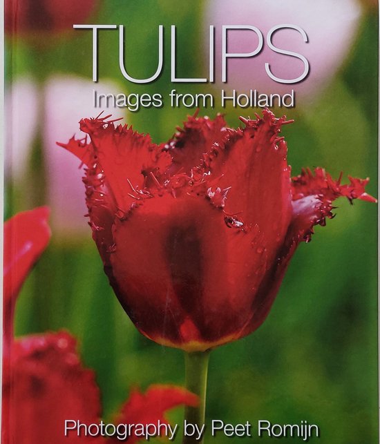 Omslag van Tulips: Images from Holland