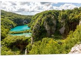 PVC Schuimplaat- Blauwe Wateren bij Planten in het Nationale Park Plitvicemeren, Kroatië - 105x70 cm Foto op PVC Schuimplaat