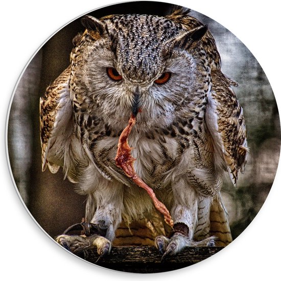 WallClassics - Cercle mural en panneau de mousse PVC - Hibou grand-duc mangeant sur une souche d'arbre - Photo 30x30 cm sur cercle mural (avec système de suspension)