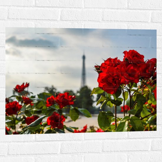 Muursticker - Rode Rozenstruik voor Eiffeltoren in Parijs, Frankrijk - 80x60 cm Foto op Muursticker