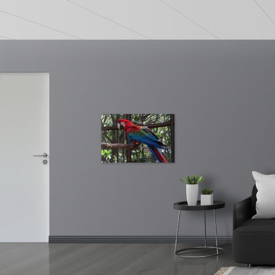 WallClassics - Verre Acrylique - Perroquet Coloré en Cage sur Branche - Photo 90x60 cm sur Verre Acrylique (Avec Système d'accrochage)