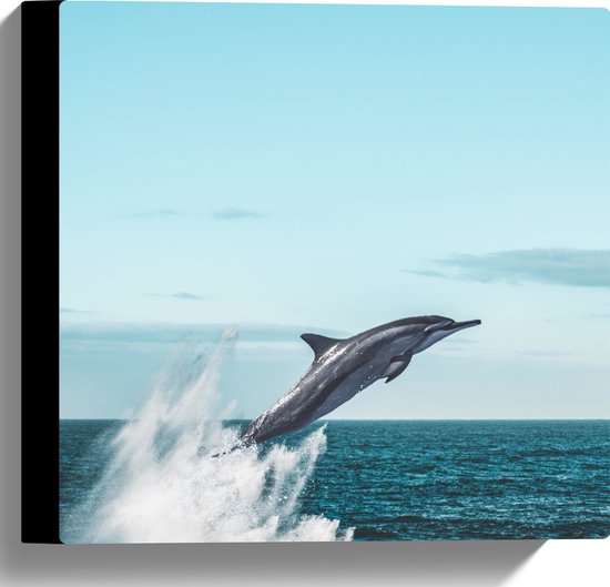 WallClassics - Toile - Dauphin sautant dans la mer - Photo sur toile 30x30 cm (Décoration murale )
