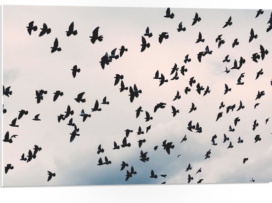 PVC Schuimplaat - Zwerm Vogels in Bewolkte Lucht - 75x50 cm Foto op PVC Schuimplaat (Met Ophangsysteem)