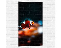 Foto: 