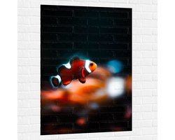 Foto: 