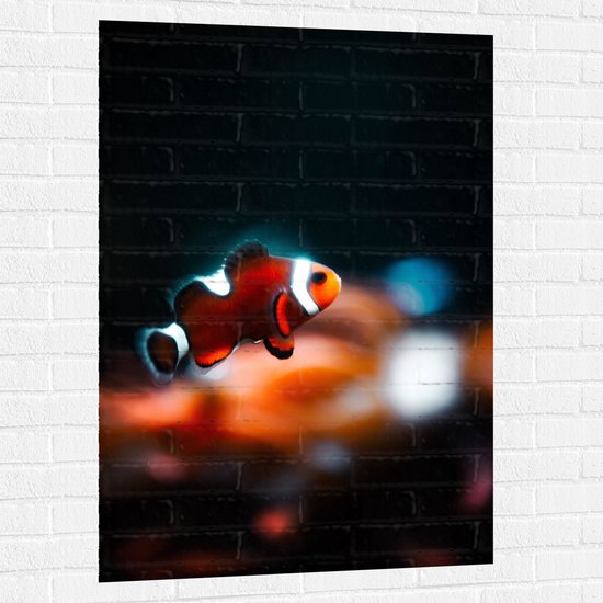 Foto: Wallclassics muursticker nemo vis 80x120 cm foto op muursticker