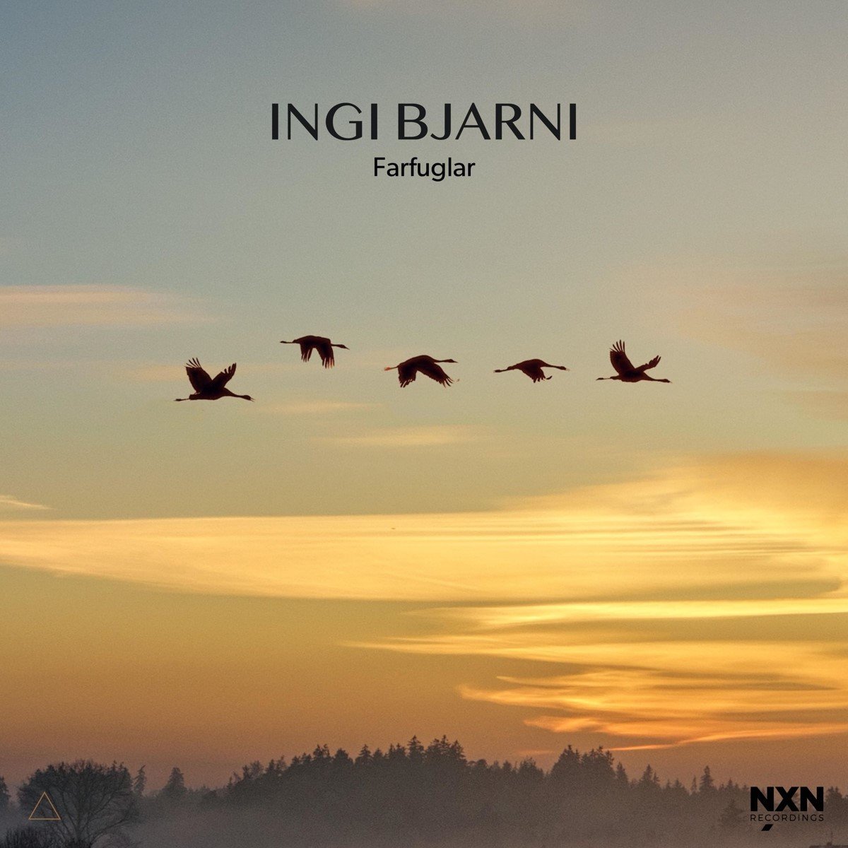 Ingi Bjarni Skúlason - Farfuglar (CD)