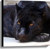 WallClassics - Toile - Panthère noire couchée aux yeux Oranje - 60x60 cm Photo sur toile (Décoration murale sur toile)