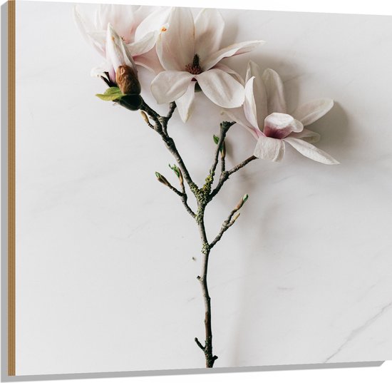 Hout - Wit met Roze Bloemen op Witte Ondergrond - 100x100 cm - 9 mm dik - Foto op Hout (Met Ophangsysteem)