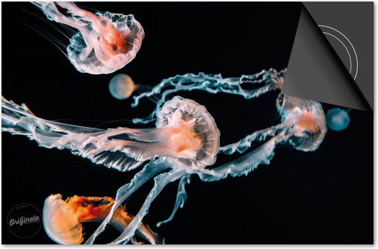 Protection induction 81x52 - plaque de recouvrement tapis induction - Dietrix Protection plaque de cuisson - DELUXE - Sous la Mer - Méduse Oranje Rouge