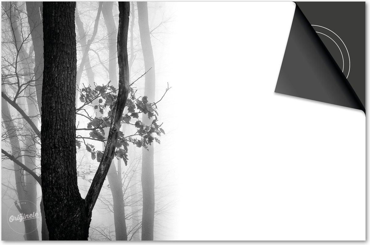Inductie beschermer 81x52 - afdekplaat inductie mat - Dietrix Kookplaat beschermer - DELUXE - Herfst - Bos zwart wit
