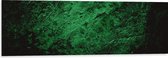 Dibond - Muur in het Groen met Textuur - 120x40 cm Foto op Aluminium (Wanddecoratie van metaal)