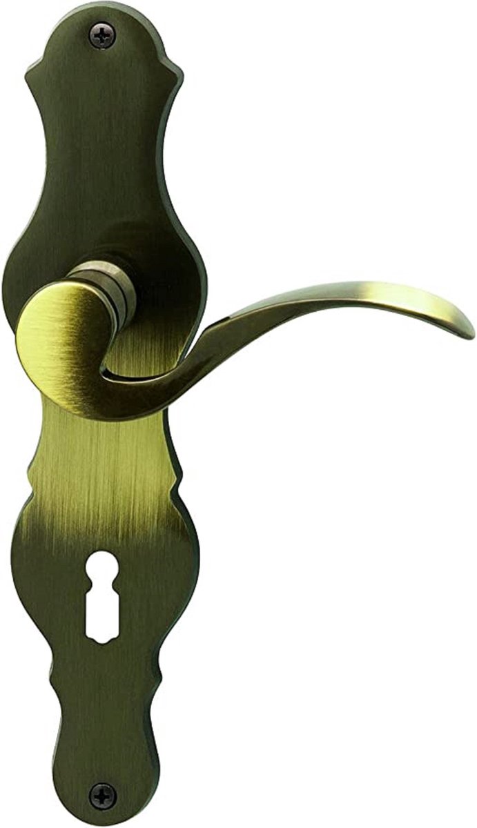 deurbeslag - house accessories Door handle stainless steel / voor toilets/badkamerdeuren | deurklink | deurkruk