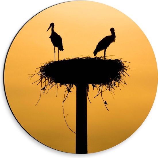 WallClassics - Dibond Muurcirkel - Silhouet van Ooievaars op het Nest - 30x30 cm Foto op Aluminium Muurcirkel (met ophangsysteem)