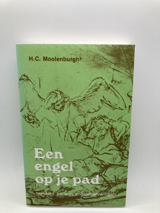 Cover van het boek 'Een engel op je pad' van H.C. Moolenburgh