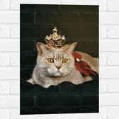 Muursticker - Kat als Koning met Kroontje - 40x60 cm Foto op Muursticker