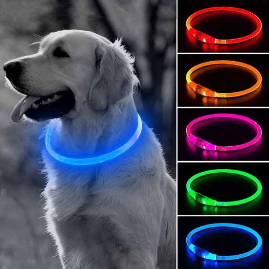 Collier Led Chien Usb Rechargeable 20-70 CM - Blauw - Collier Chiens Led -  Extra Small... | bol.com