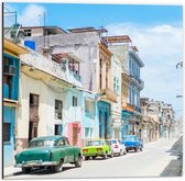 Dibond - Gekleurde Geparkeerde Auto's in Kleurrijke Straat - Cuba - 50x50 cm Foto op Aluminium (Met Ophangsysteem)