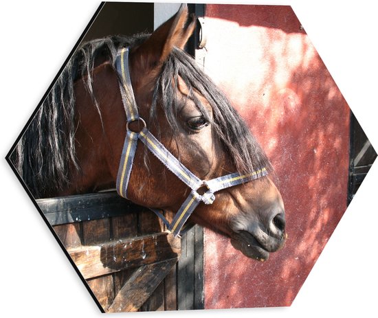 WallClassics - Dibond Hexagon - Paard bij Staldeur - 30x26.1 cm Foto op Hexagon (Met Ophangsysteem)