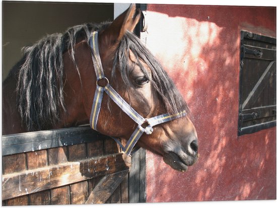 WallClassics - Vlag - Paard bij Staldeur - 80x60 cm Foto op Polyester Vlag