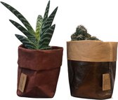 de Zaktus - cactus - Monstrose Appelcactus - Aloë Variegata - UASHMAMA® paperbag brons - roest bruin- maat M